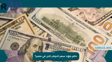 «كم بلغ» سعر الدولار الآن في مصر؟
